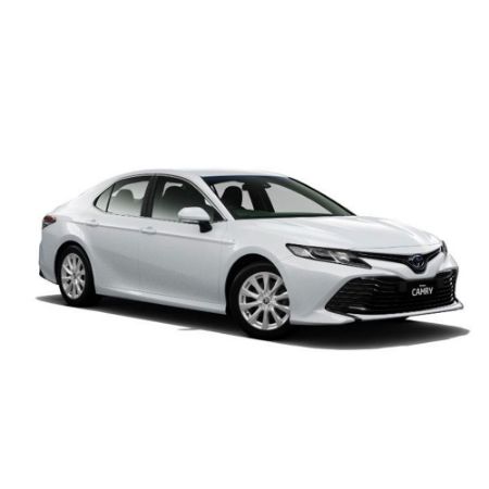 Picture for category Camry