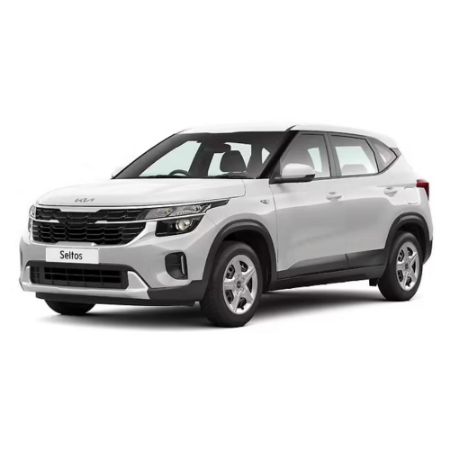 Picture for category Seltos