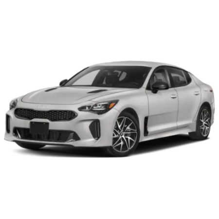 Picture for category Stinger