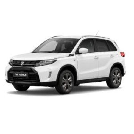 Picture for category Grand Vitara