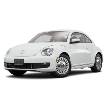 Picture for category Beetle